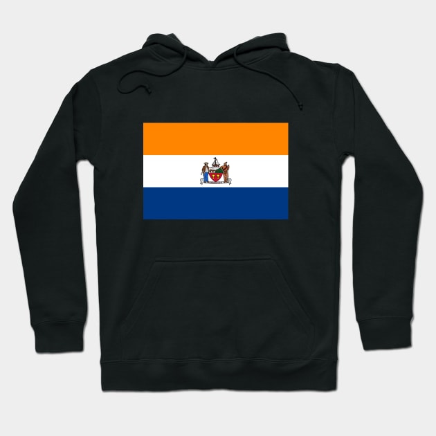 Flag of Albany, New York Hoodie by brigadeiro